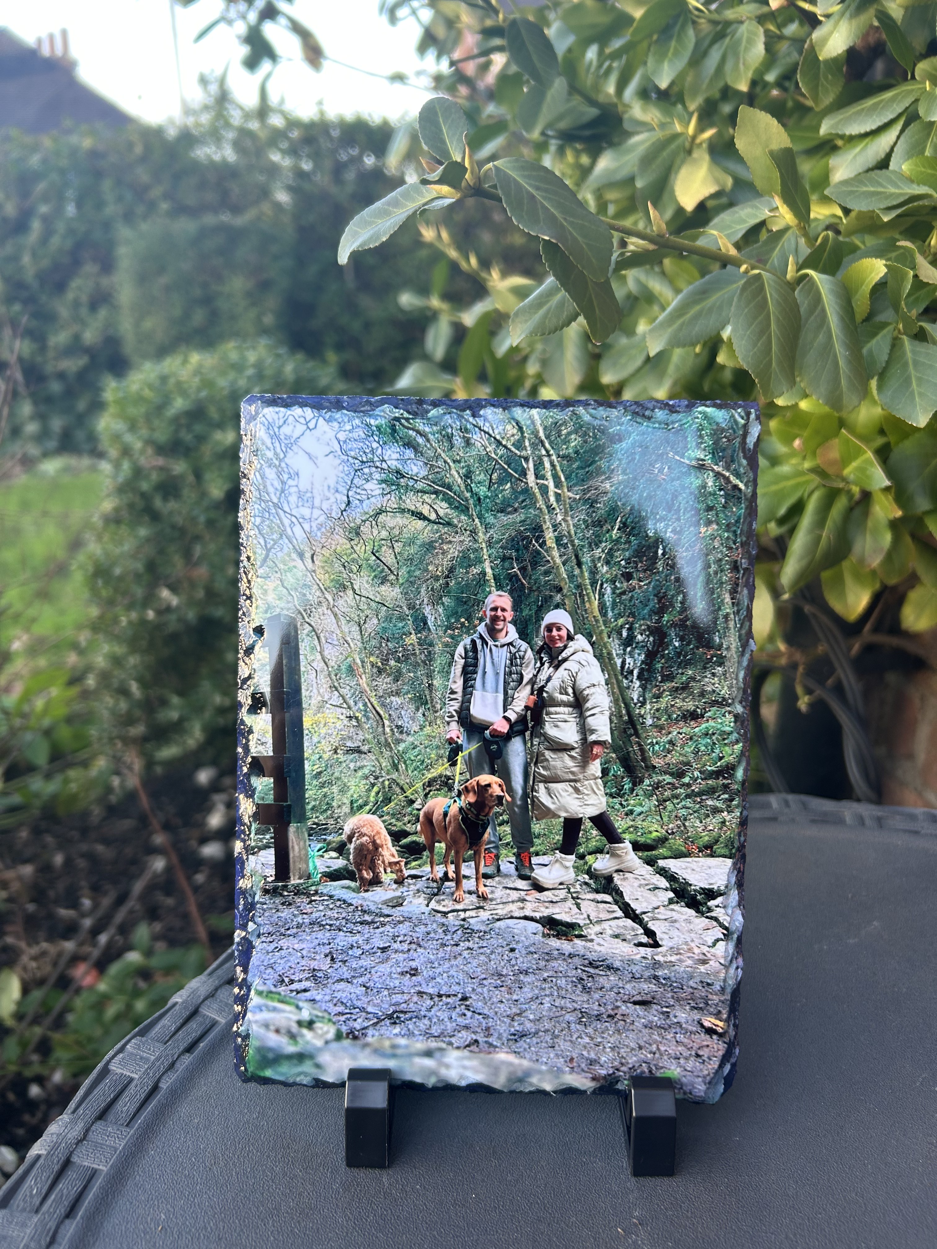 Slate photo of a couple walking their dogs in the woods